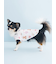 【CAT&DOG】【Birthday】バースデー柄プルオーバー