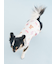 【CAT&DOG】【Birthday】バースデー柄プルオーバー