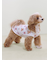 【CAT&DOG】【Birthday】バースデー柄プルオーバー
