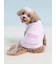 【CAT&DOG】【Birthday】スムーズィーカップケーキジャガードプルオーバー