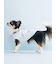 【CAT&DOG】【Birthday】スムーズィーカップケーキジャガードプルオーバー