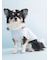【CAT&DOG】【Birthday】スムーズィーカップケーキジャガードプルオーバー