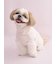【CAT&DOG】【Birthday】スムーズィーカップケーキジャガードプルオーバー