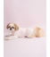 【CAT&DOG】【Birthday】スムーズィーカップケーキジャガードプルオーバー