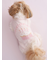 【CAT&DOG】【Birthday】スムーズィーカップケーキジャガードプルオーバー