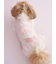 【CAT&DOG】【Birthday】スムーズィーカップケーキジャガードプルオーバー