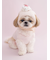 【CAT&DOG】【Birthday】スムーズィーカップケーキジャガードプルオーバー