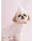 【CAT&DOG】【Birthday】スムーズィーカップケーキジャガードプルオーバー