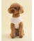 【CAT&DOG】【Birthday】スムーズィーカップケーキジャガードプルオーバー