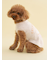 【CAT&DOG】【Birthday】スムーズィーカップケーキジャガードプルオーバー