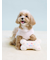 【CAT&DOG】【Birthday】スムーズィーカップケーキジャガードプルオーバー
