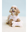 【CAT&DOG】【Birthday】スムーズィーカップケーキジャガードプルオーバー