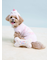 【CAT&DOG】【Birthday】スムーズィーカップケーキジャガードプルオーバー