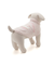 【CAT&DOG】【Birthday】スムーズィーカップケーキジャガードプルオーバー
