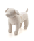 【CAT&DOG】【Birthday】スムーズィーカップケーキジャガードプルオーバー