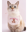 【CAT&DOG】【Birthday】スムーズィーバースデースタイ