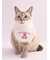 【CAT&DOG】【Birthday】スムーズィーバースデースタイ