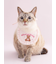 【CAT&DOG】【Birthday】スムーズィーバースデースタイ
