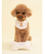 【CAT&DOG】【Birthday】スムーズィーバースデースタイ