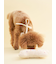 【CAT&DOG】【Birthday】スムーズィーバースデースタイ