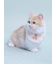 【CAT&DOG】【Birthday】スムーズィーバースデースタイ