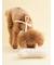 【CAT&DOG】【Birthday】ボーントイ