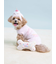 【CAT&DOG】【Birthday】ボーントイ