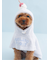 【CAT&DOG】【Birthday】スムーズィーケープ