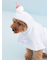 【CAT&DOG】【Birthday】スムーズィーケープ