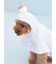 【CAT&DOG】【Birthday】スムーズィーケープ