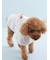 【CAT&DOG】【Birthday】スムーズィーケープ