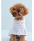 【CAT&DOG】【Birthday】スムーズィーケープ