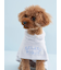 【CAT&DOG】【Birthday】スムーズィーケープ
