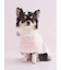 【CAT&DOG】【Birthday】スムーズィーケープ
