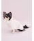 【CAT&DOG】【Birthday】スムーズィーケープ