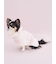 【CAT&DOG】【Birthday】スムーズィーケープ