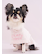 【CAT&DOG】【Birthday】スムーズィーケープ