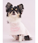 【CAT&DOG】【Birthday】スムーズィーケープ