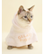 【CAT&DOG】【Birthday】スムーズィーケープ