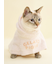 【CAT&DOG】【Birthday】スムーズィーケープ