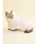 【CAT&DOG】【Birthday】スムーズィーケープ