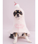 【CAT&DOG】【Birthday】スムーズィーケープ