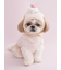 【CAT&DOG】【Birthday】カップケーキハット