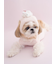 【CAT&DOG】【Birthday】カップケーキハット
