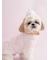 【CAT&DOG】【Birthday】カップケーキハット