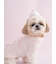 【CAT&DOG】【Birthday】カップケーキハット