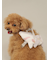 【CAT&DOG】シャークモチーフ保冷剤入れリュック