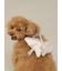 【CAT&DOG】シャークモチーフ保冷剤入れリュック