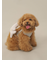 【CAT&DOG】シャークモチーフ保冷剤入れリュック