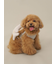 【CAT&DOG】シャークモチーフ保冷剤入れリュック
